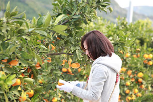 FARM Prj(ファームプロジェクト)|活動写真01